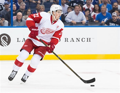 Dylan Larkin Poster 3554966