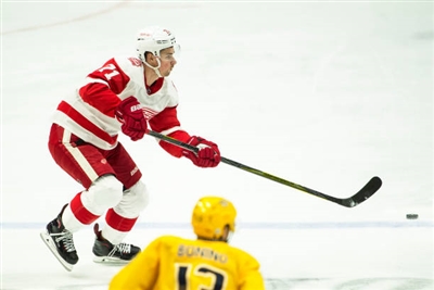 Dylan Larkin Poster 3554968