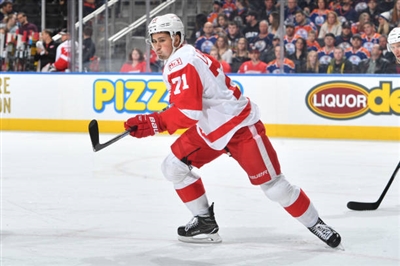 Dylan Larkin Poster 3554969