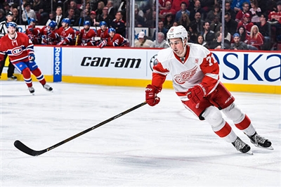 Dylan Larkin Poster 3554979