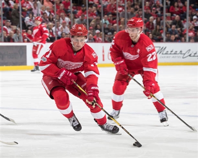 Dylan Larkin Poster 3554983