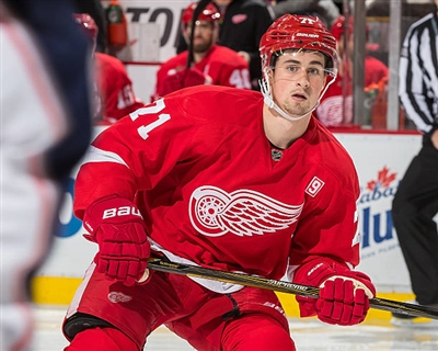 Dylan Larkin Poster 3554989