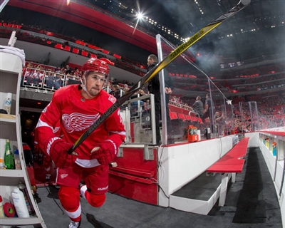 Dylan Larkin Poster 3554991