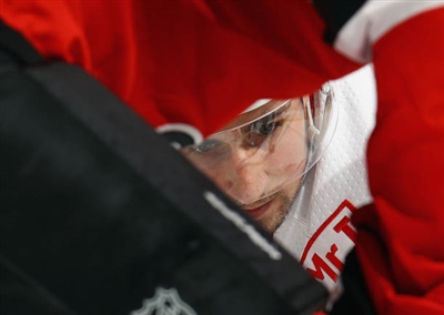 Dylan Larkin Poster 3554994