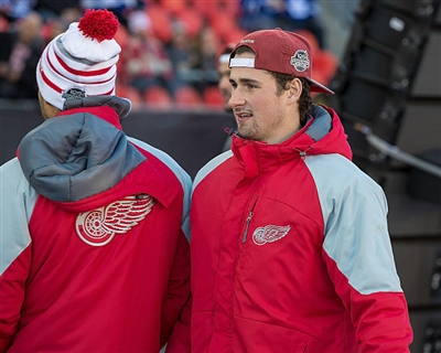Dylan Larkin Poster 3555002
