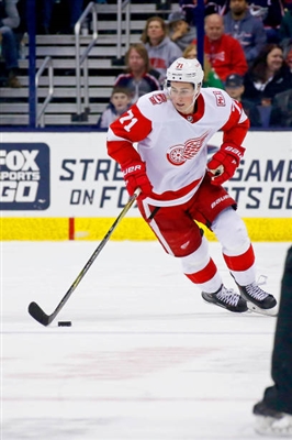 Dylan Larkin Poster 3555009