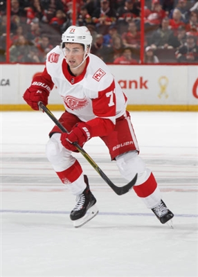 Dylan Larkin Poster 3555013
