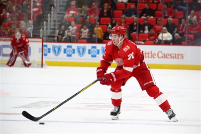 Dylan Larkin Poster 3555014