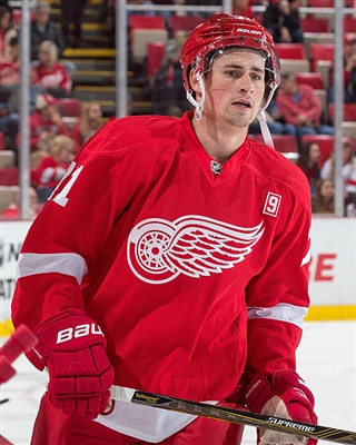 Dylan Larkin Poster 3555019