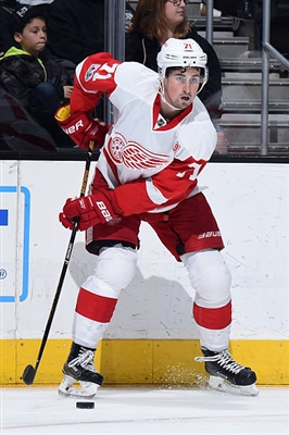 Dylan Larkin Poster 3555021