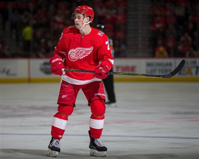 Dylan Larkin Poster 3555025