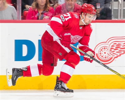 Dylan Larkin Poster 3555026