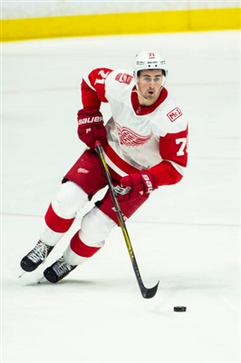 Dylan Larkin Poster 3555027