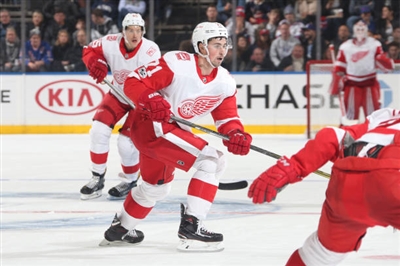 Dylan Larkin Poster 3555028