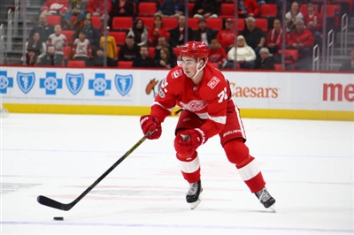 Dylan Larkin Poster 3555031