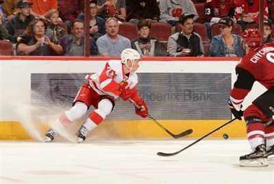 Dylan Larkin Poster 3555040