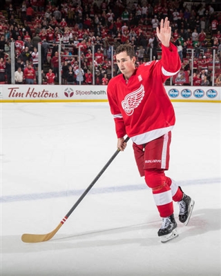 Dylan Larkin Poster 3555046