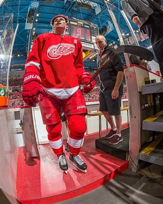 Dylan Larkin Poster 3555050