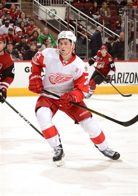 Dylan Larkin Poster 3555059