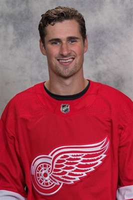 Dylan Larkin Poster 3555061