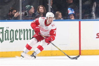 Dylan Larkin Poster 3555065