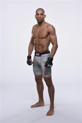 Edson Barboza Poster 3517675