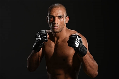 Edson Barboza Poster 3517682