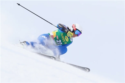 Elena Curtoni Poster 3639818