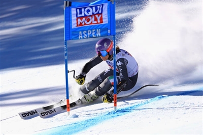 Elena Curtoni Poster 3639841