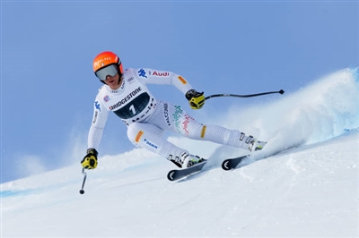 Elena Curtoni Poster 3639842