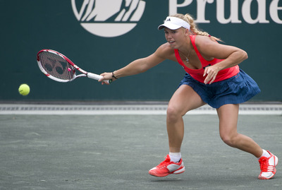 Elena Vesnina Poster 2617653