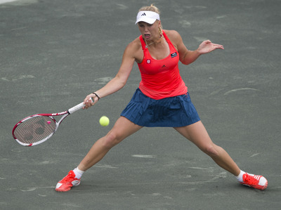 Elena Vesnina Poster 2617769