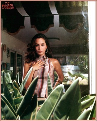 Eliza Dushku Poster 1281744