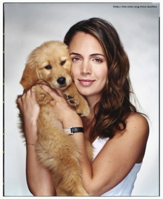 Eliza Dushku Poster 1338929