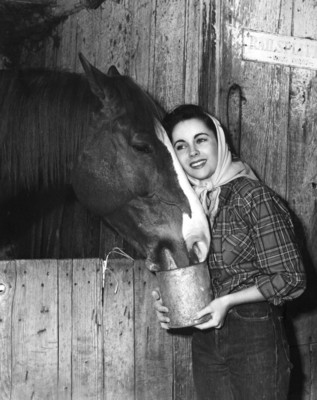 Elizabeth Taylor Poster 1451459