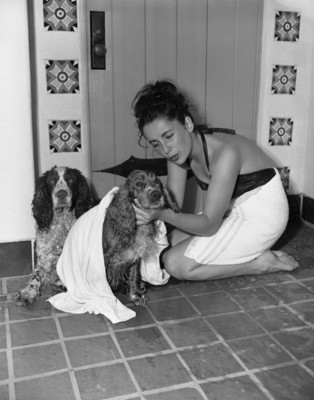 Elizabeth Taylor Poster 2120082