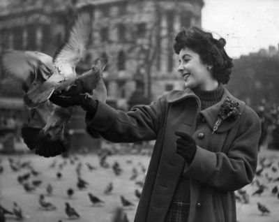 Elizabeth Taylor Poster 2591802