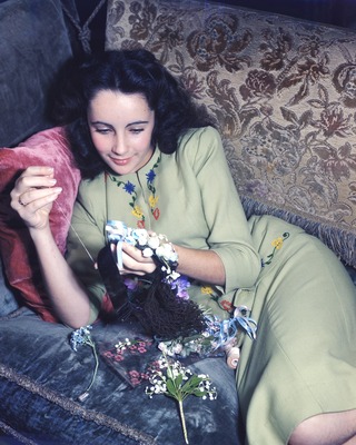 Elizabeth Taylor Poster 2591862