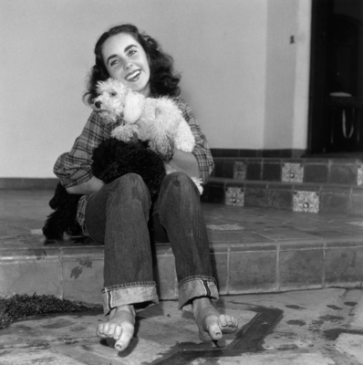 Elizabeth Taylor Poster 2591914