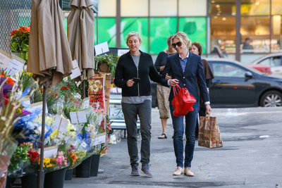 Ellen Degeneres Poster 2718831