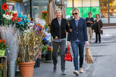 Ellen Degeneres Poster 2718841