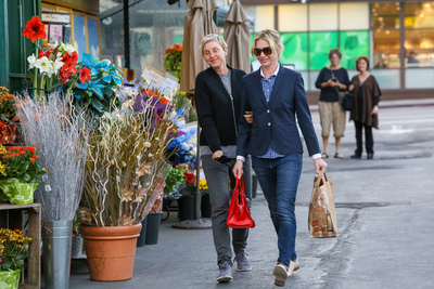 Ellen Degeneres Poster 2718862