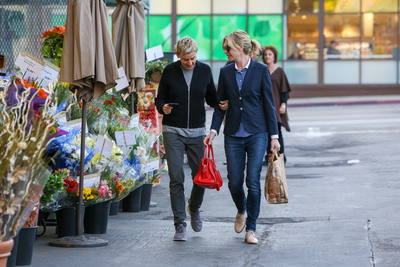 Ellen Degeneres Poster 2718898