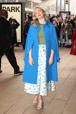 Emily Blunt Poster 3091388