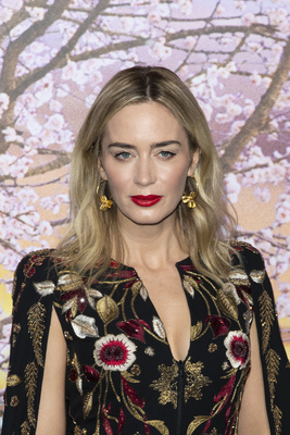 Emily Blunt Poster 3785417