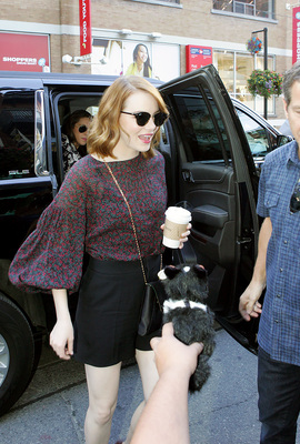 Emma Stone Poster 2747439