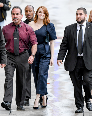 Emma Stone Poster 2747846