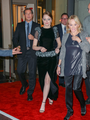Emma Stone Poster 2747936