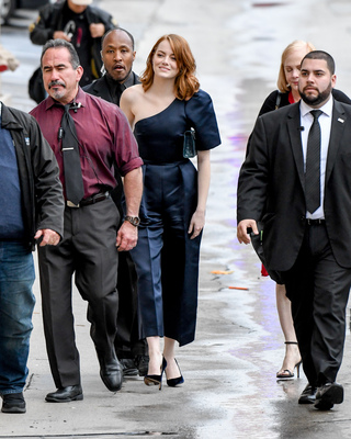 Emma Stone Poster 2748065