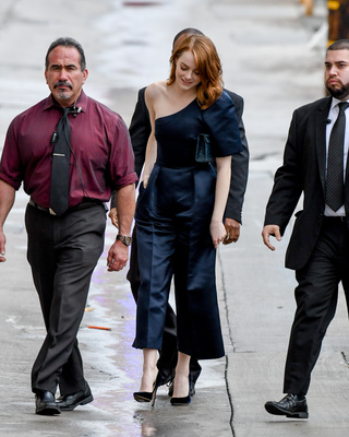 Emma Stone Poster 2748090